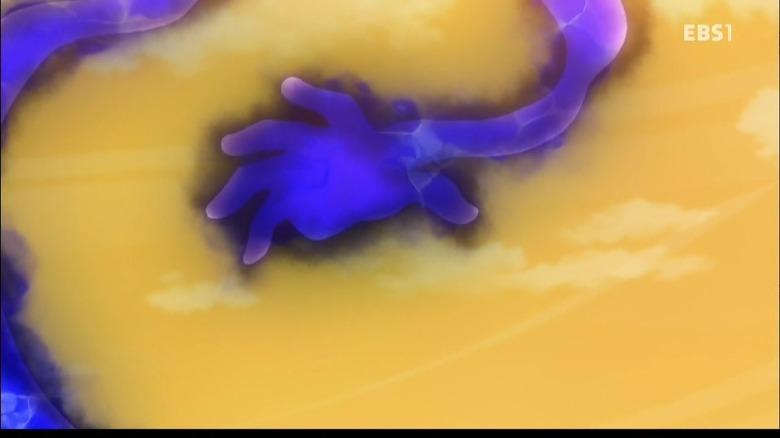 img/5/7/3/A/573AE5A14B26830033