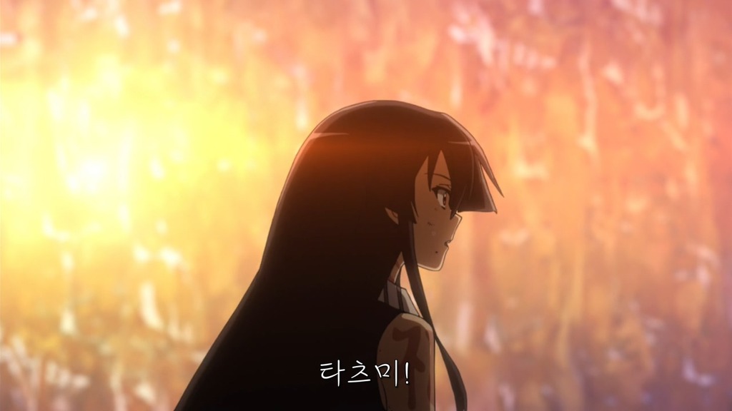 아카메가 벤다! -개인적으로 진히로인이라 생각-(원작 스포포함)_46.jpg