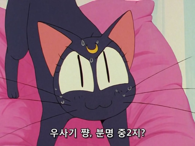 [세일러문 R] 자다가 오줌 지리는 여 주인공_10.jpg