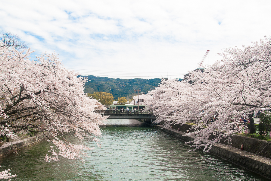 그래, 교토에 가자_3.jpg