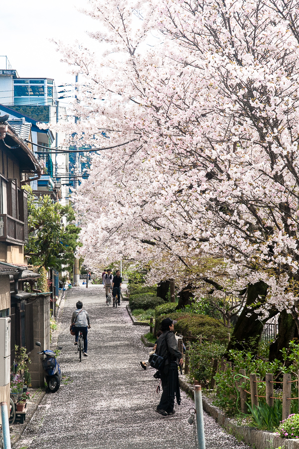 그래, 교토에 가자_4.jpg