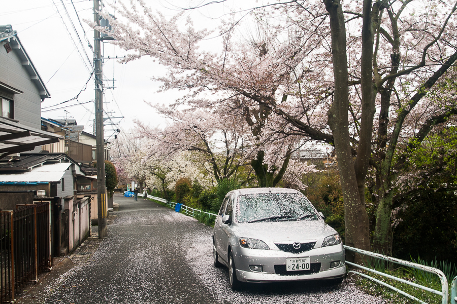 그래, 교토에 가자_26.jpg