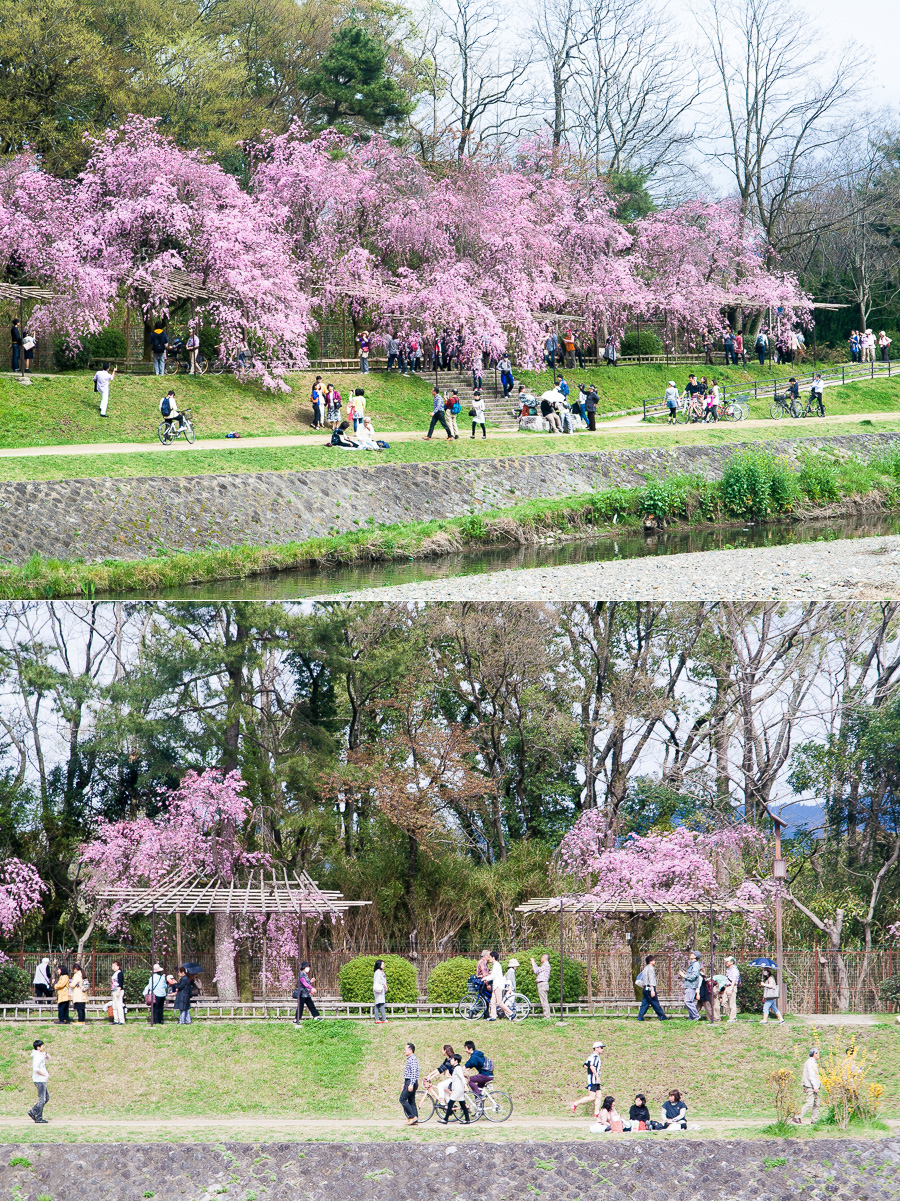 그래, 교토에 가자_7.jpg