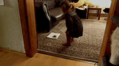 귀여운 딸내미 놀래키려 했는데..._6.gif