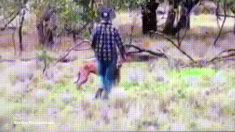 장난 잘치는 ○○○양_1.gif