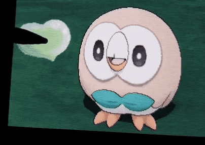 포켓몬 나몰빼미.GIF_3.gif