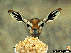 (움짤) 팝콘짤 모음.gif_3.gif