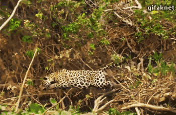 어휴 저 호구 또 털리네.gif_1.gif