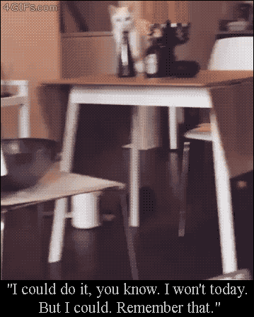 오늘만은 봐주지_1.gif