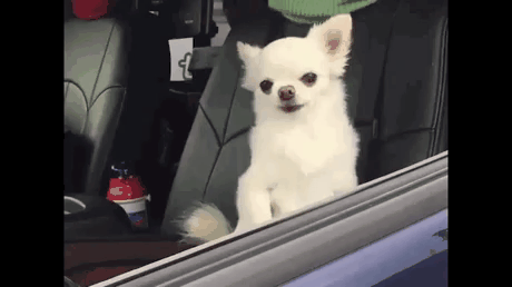 회식 다음날 아침.gif_1.gif