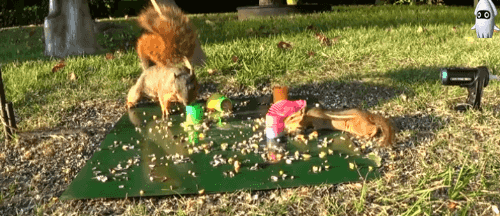 고무고무~ 바주카!!!.gif_1.gif