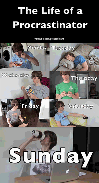 대학생 과제 시즌.gif_1.gif