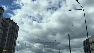 우왕 헬리콥터당.gif_1.gif