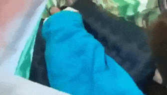 바이킹식 장례_1.gif
