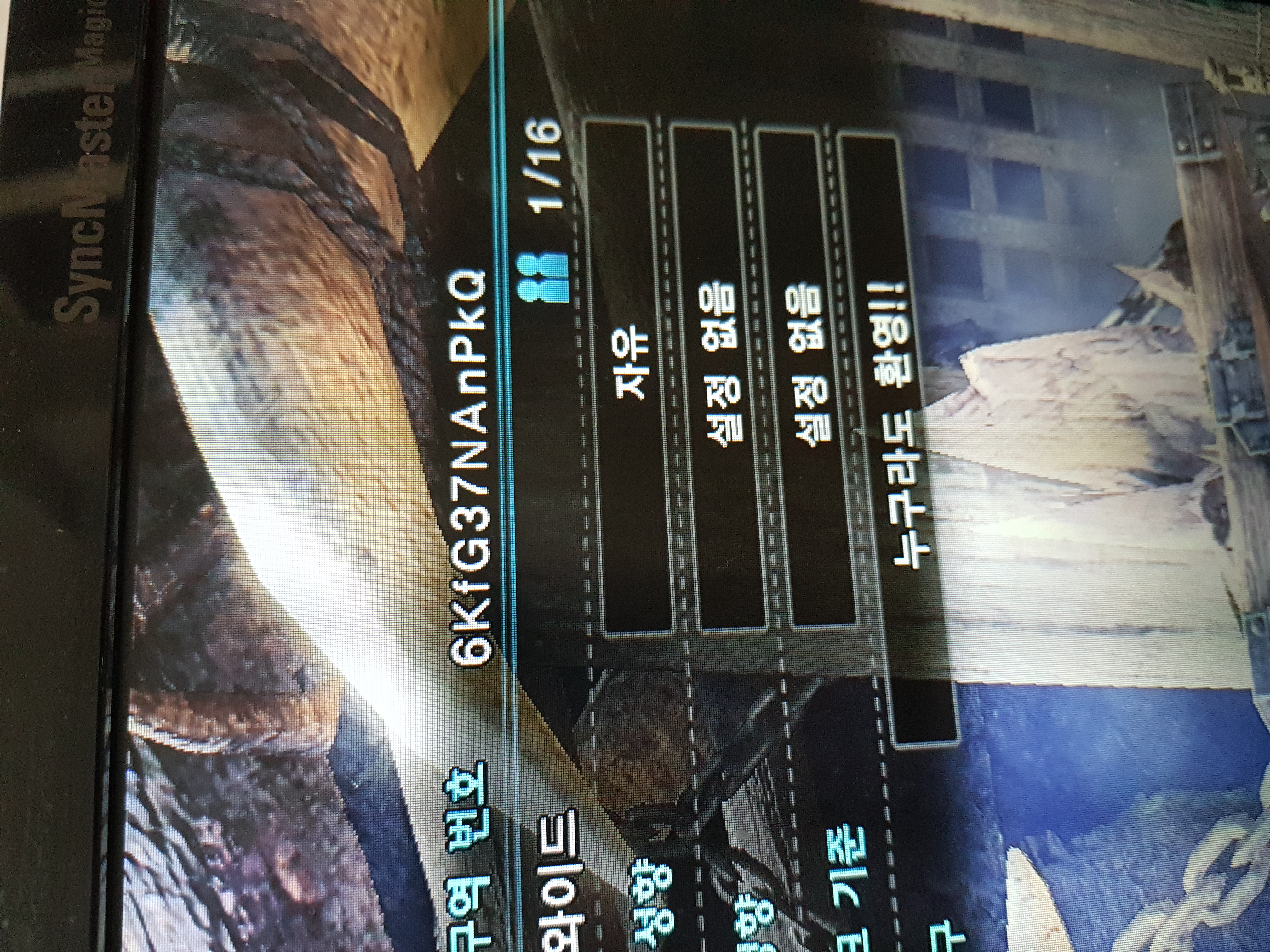 격룡왕코인 2개같이하실분