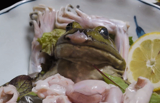 蛙刺身 gif_1.gif