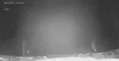 3인조 화물강도.gif_1.gif