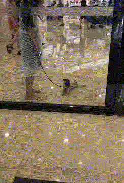 너는 여기서 살아 엄마는 갈거야.gif_1.gif