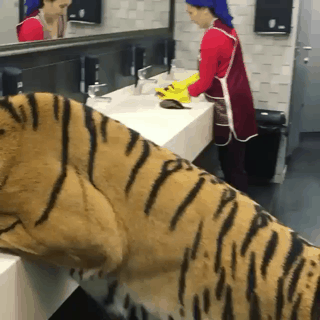 러시아의 일상_1.gif