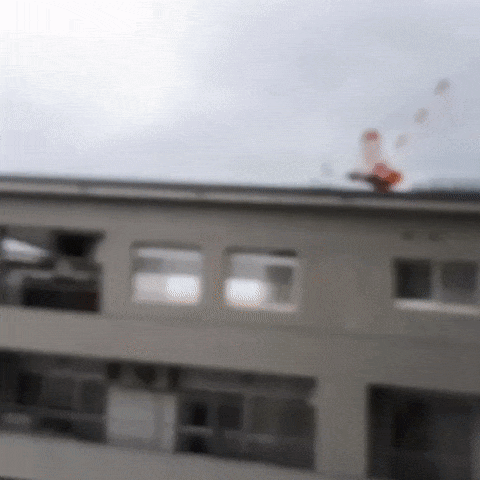 실시간 일본 태풍 움짤.gif_6.gif