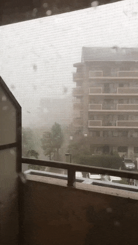 실시간 일본 태풍 움짤.gif_7.gif