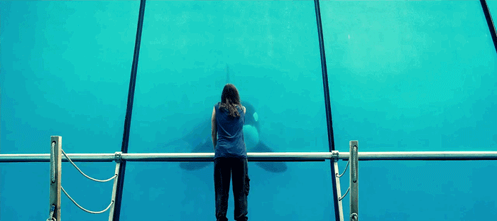 긔여운 범고래.gif_4.gif