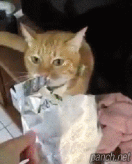 이거 니가 그랬어?!.gif_1.gif