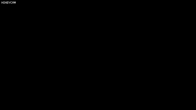 청와대 홀로그램 연하장.gif_6.gif