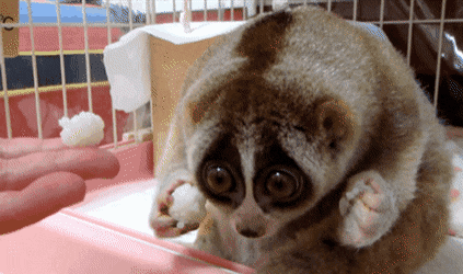 Ps4 pro가 gtx1050ti보다는 좋겠죠?_1.gif