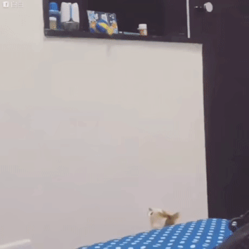 누나 저거 꺼내죠_1.gif