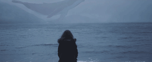 하늘을 헤엄치는 고래_5.gif