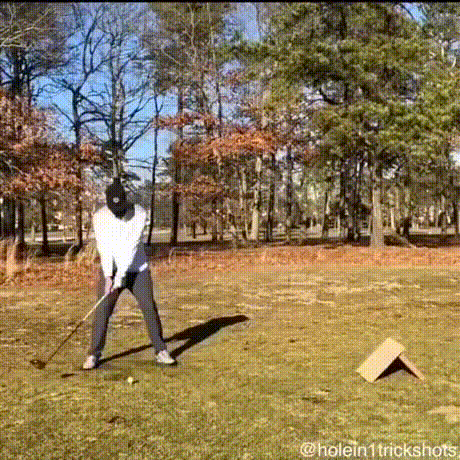 골프 고인물_1.gif