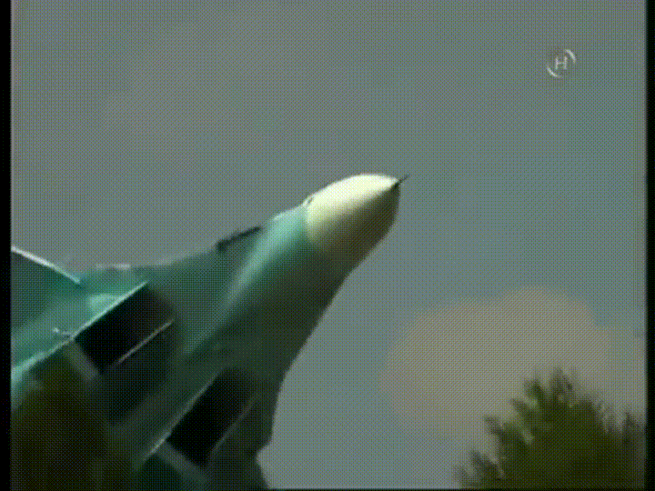 혐)사상 최악의 에어쇼 사고.jpgif_8.gif