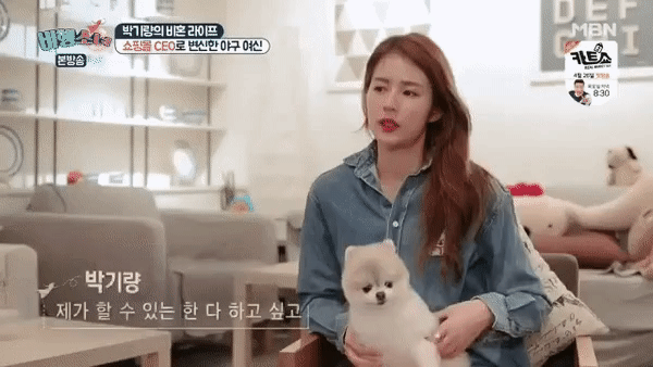착각하는 댕댕이들_1.gif