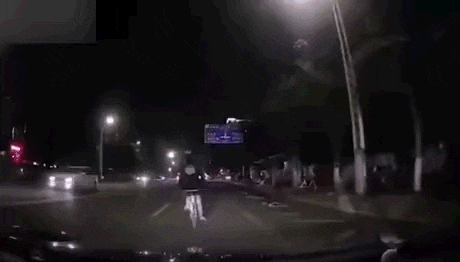 신고한 유게이 쫓아가는 짤_1.gif