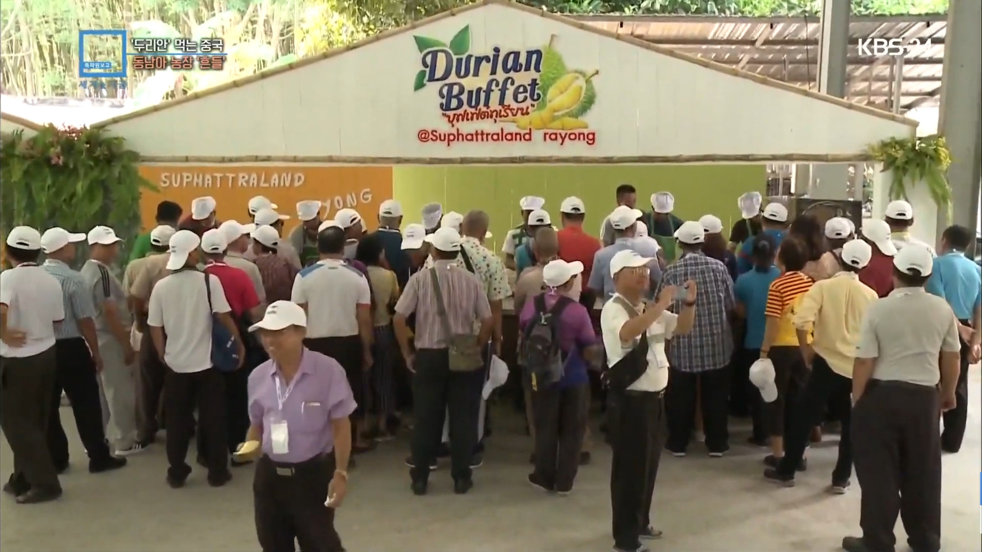 태국 근황 feat 중국과 두리안