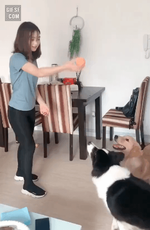 어이 고광렬이! 너는 첫판 부터 장난질이냐? .gif_1.gif