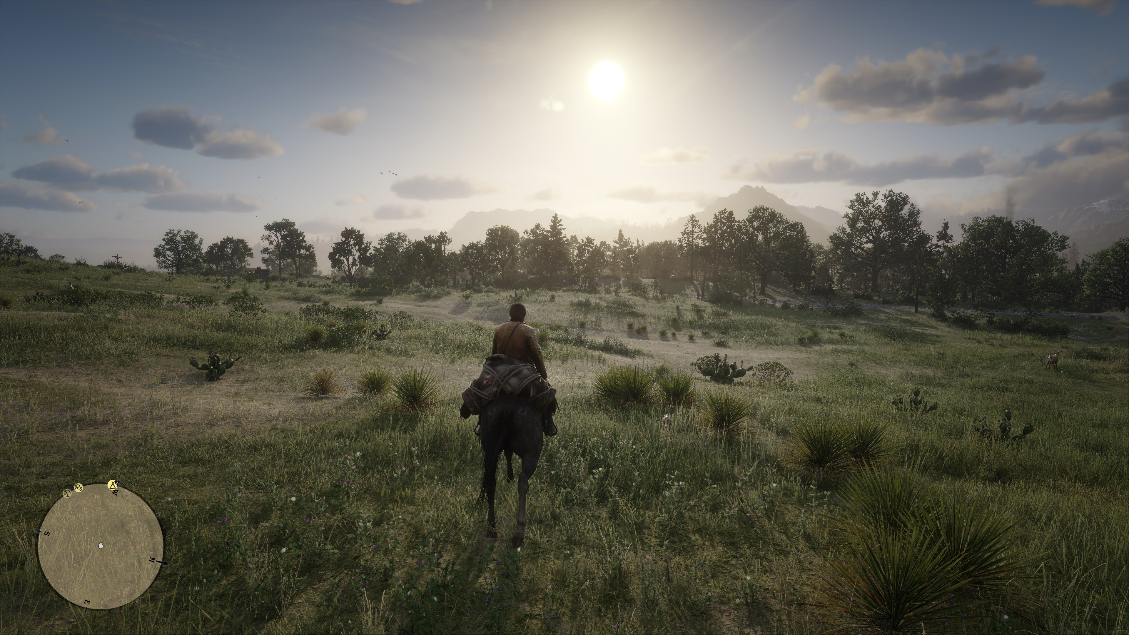 RDR2 2019-11-08 13-18-56-449.jpg