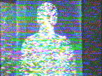 여기 민초와 20억이 있습니다_1.gif