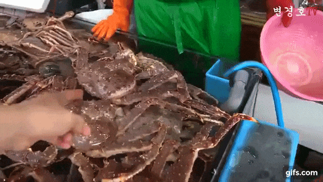 전국에서 가장 악명높은 수산시장.jpg_7.gif