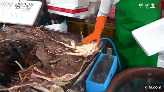 전국에서 가장 악명높은 수산시장.jpg_9.gif