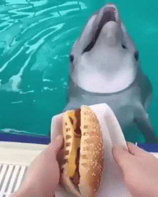 zbrush 2018 질문_1.gif