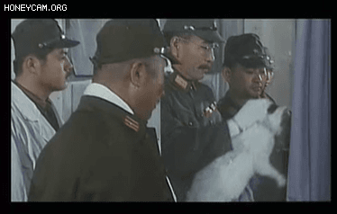 약혐) 영화 마루타 고양이 장면의 진실_10.gif