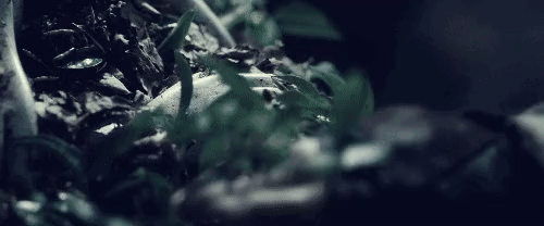 반지의 제왕) "아무 희망도 남기지 않았네"_5.gif