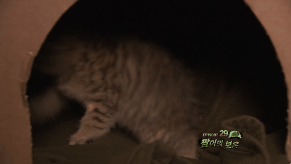 푸른거탑 역대급 캐스팅.gif_5.gif