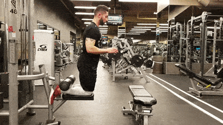 엉덩이 기억 상실증 예방하는 법 (햄스트링 근육 키우기)_6.gif