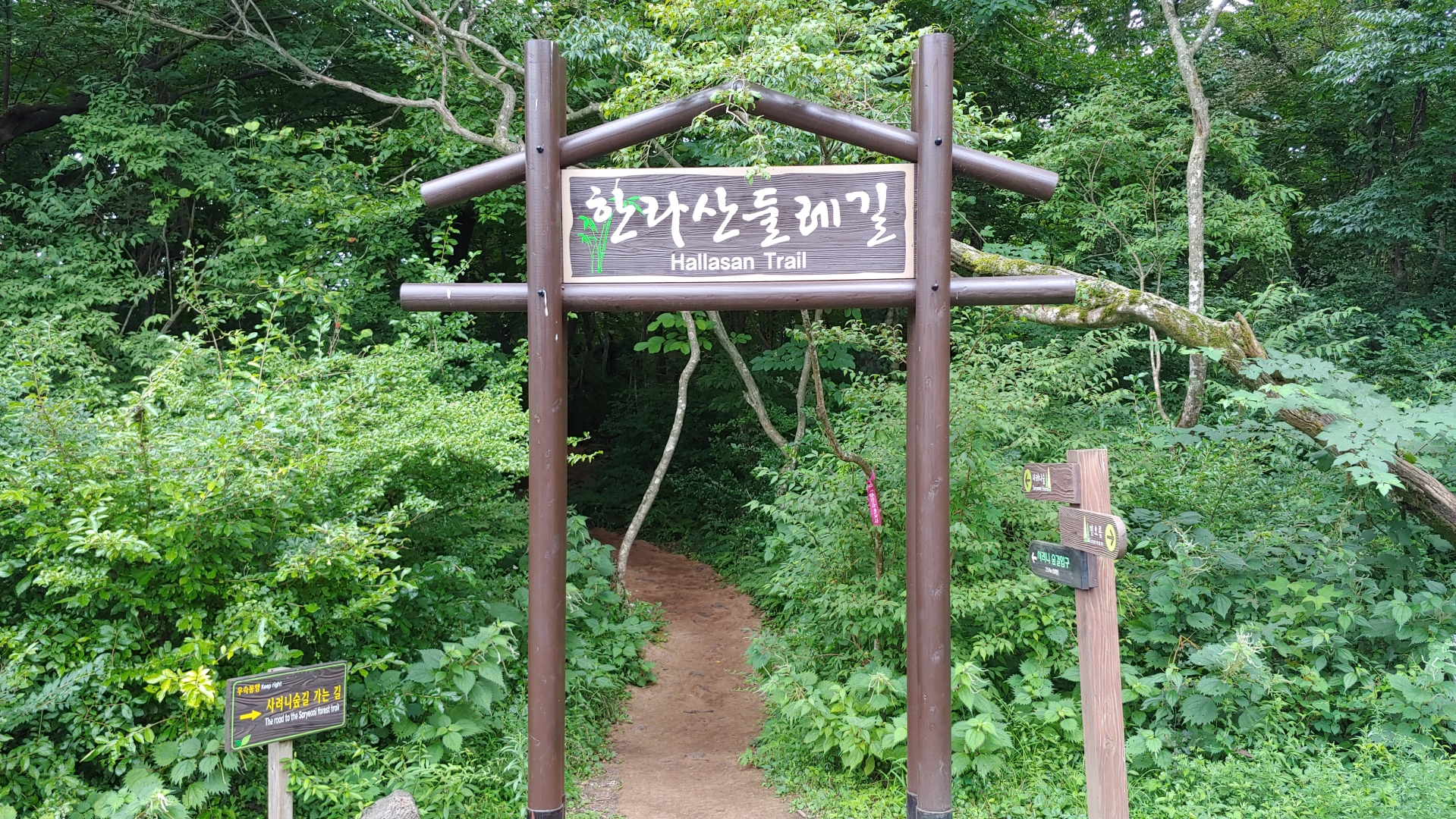 자쿠12320200817_160107.png