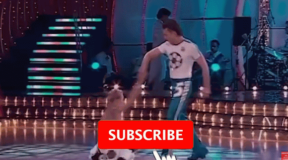젤렌스키 대통령 댄스_3.gif