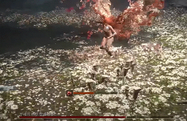 베스트 엘든링 표절 논란 정리_9.gif