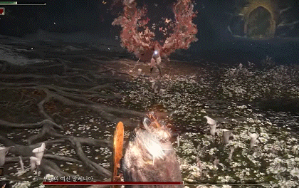 베스트 엘든링 표절 논란 정리_11.gif